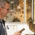 У британському музеї ШІ заговорив голосами тварин-експонатів ― відео