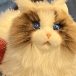 Китайські розробники створили першу у світі роботизовану копію кота — відео
